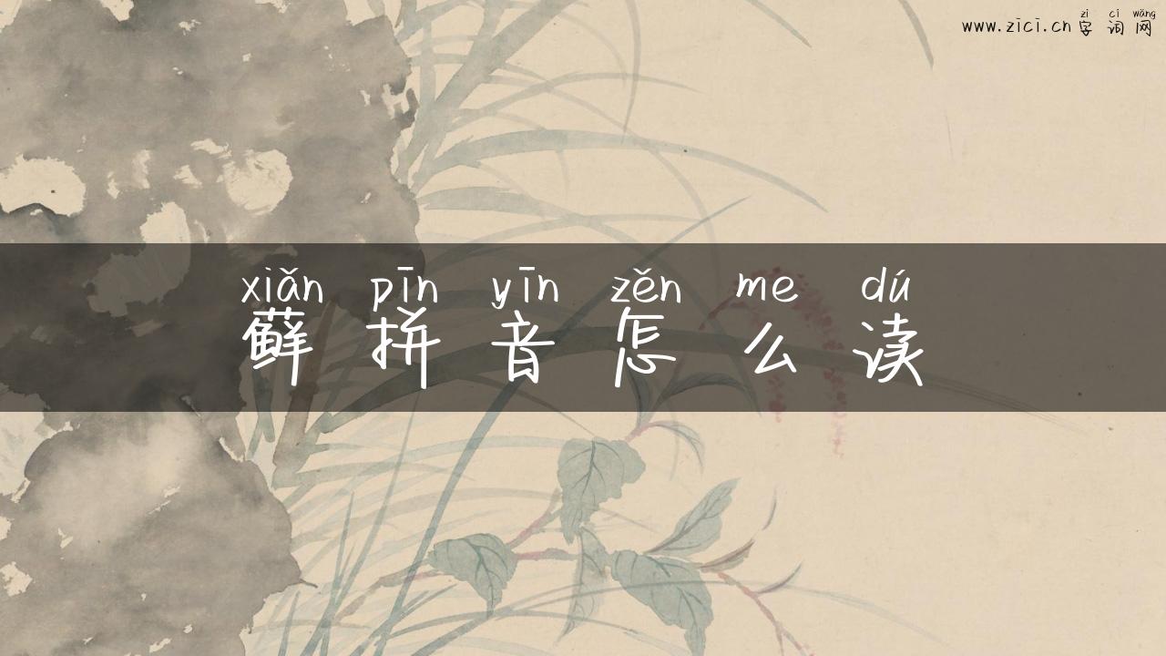 藓拼音怎么读