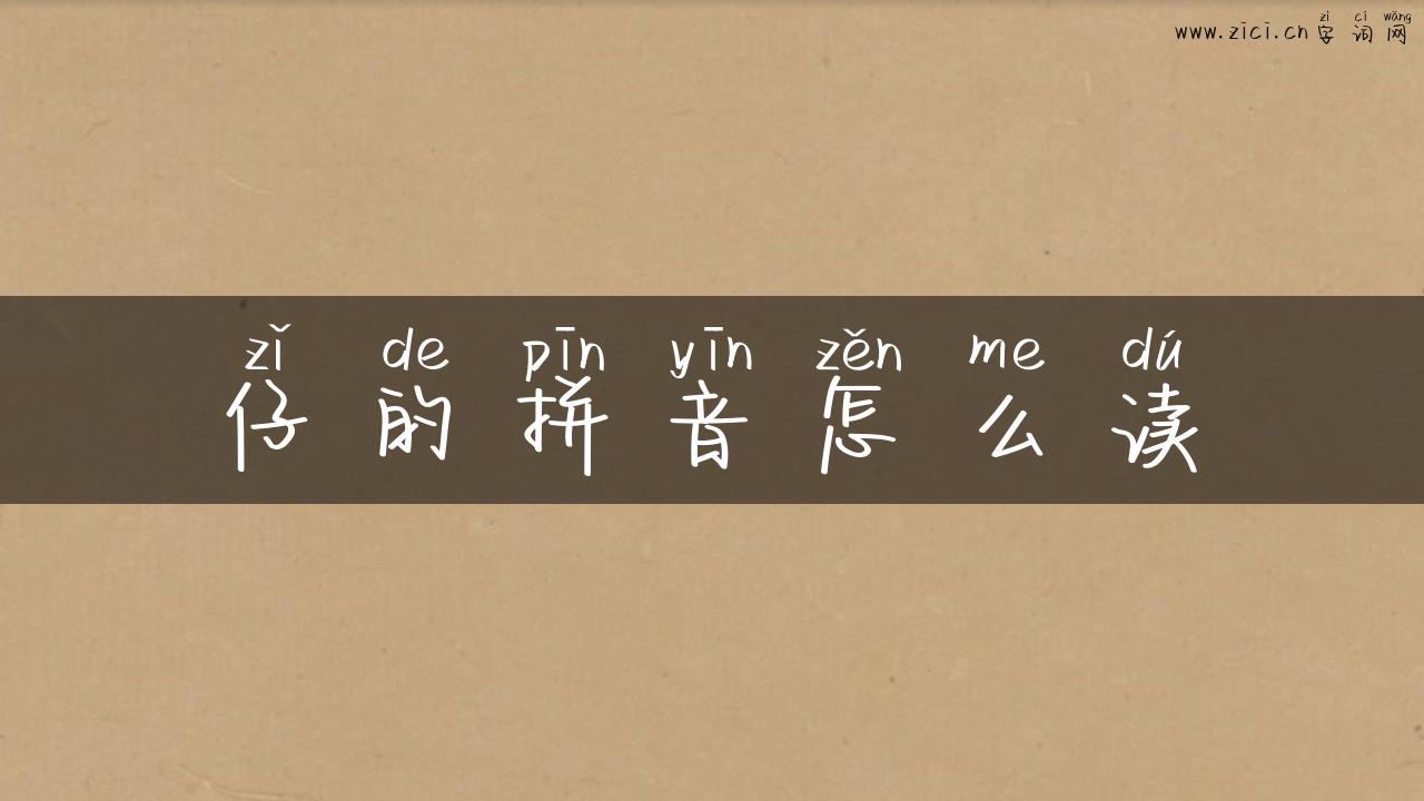 仔的拼音怎么读