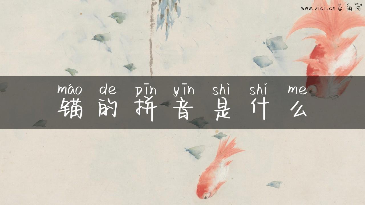 锚的拼音是什么