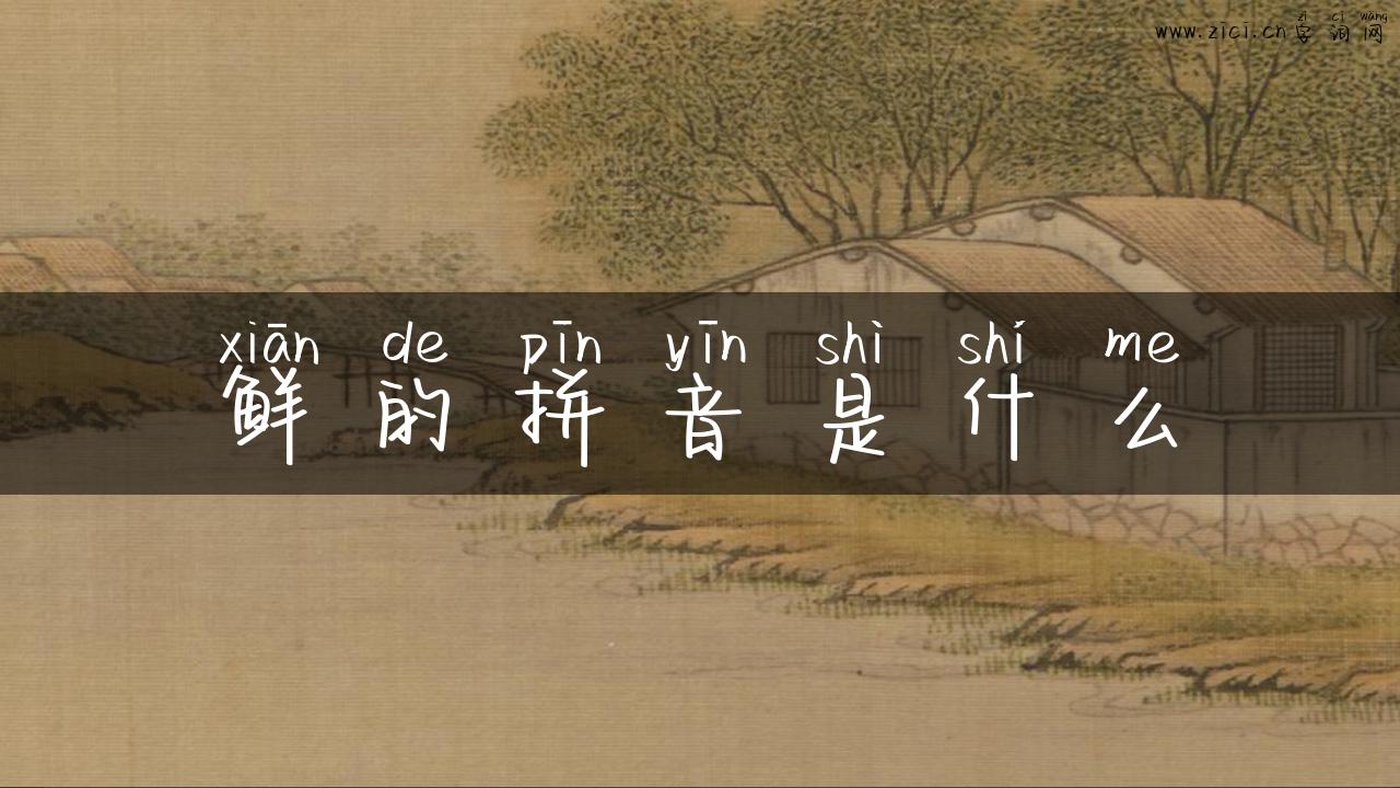 鲜的拼音是什么