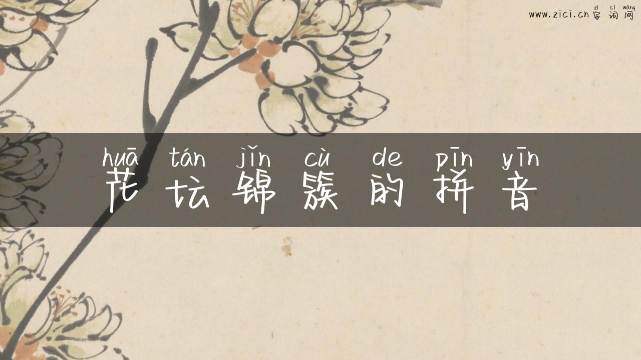 花坛锦簇的拼音