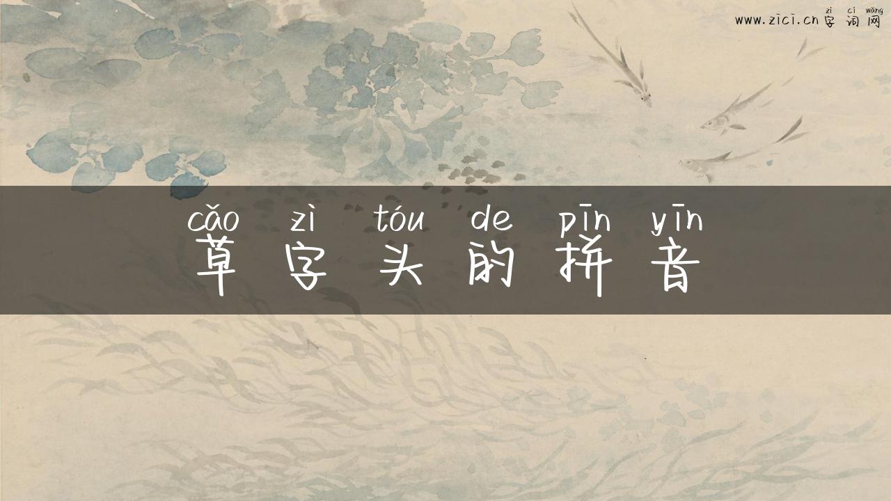 草字头的拼音
