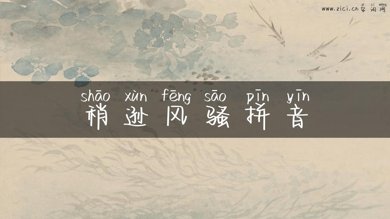 稍逊风骚拼音