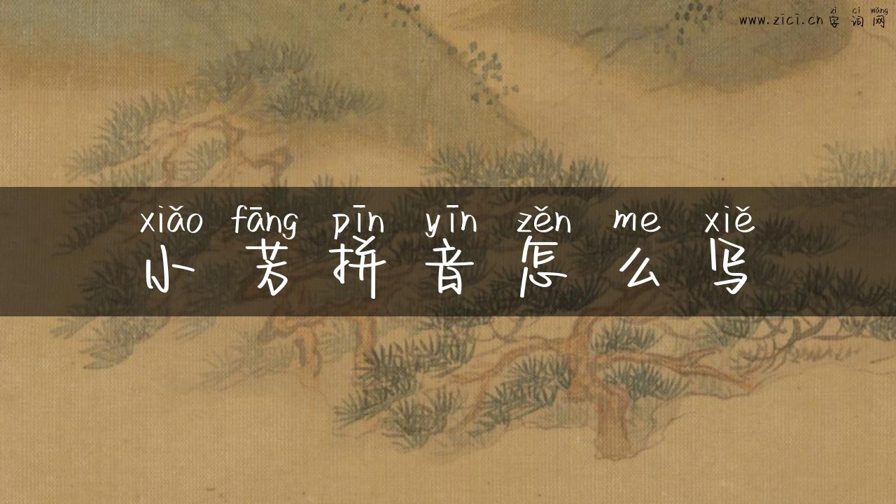 小芳拼音怎么写