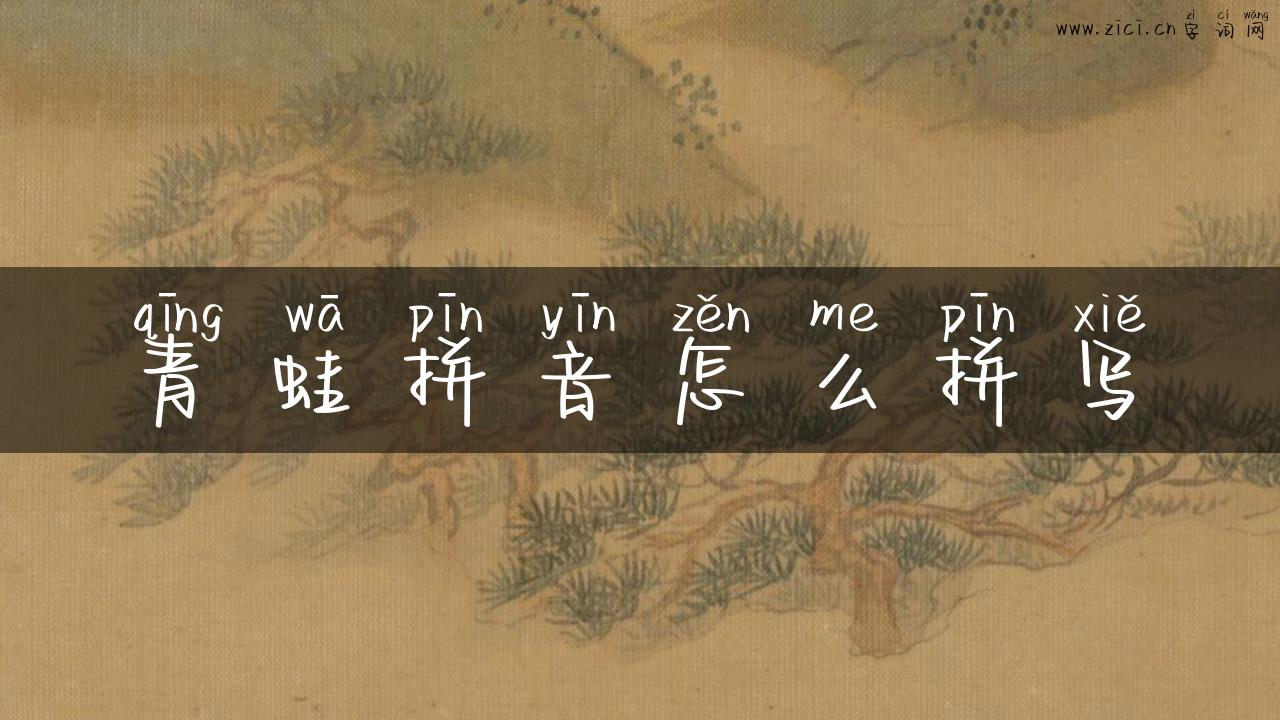 青蛙拼音怎么拼写
