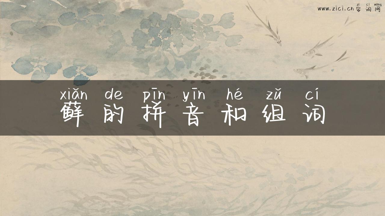 藓的拼音和组词