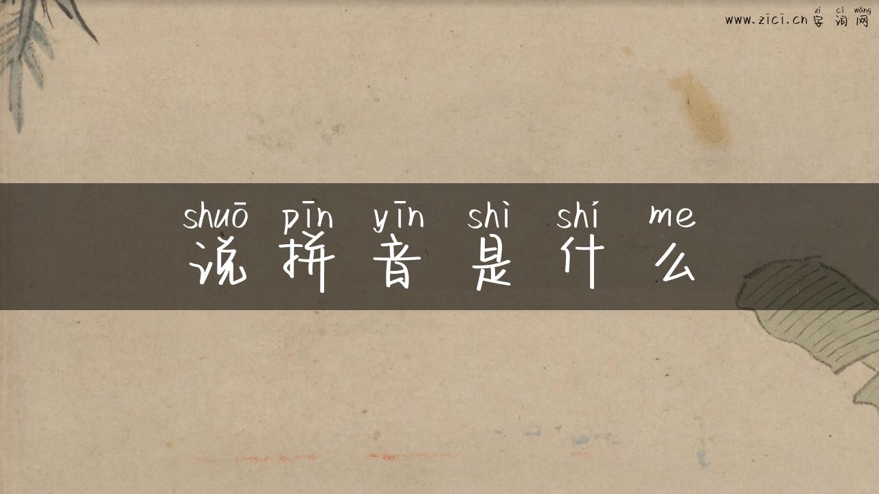 说拼音是什么
