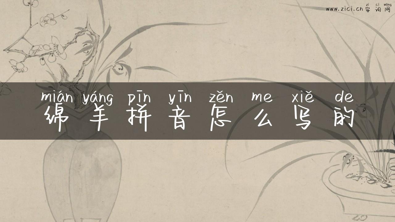 绵羊拼音怎么写的