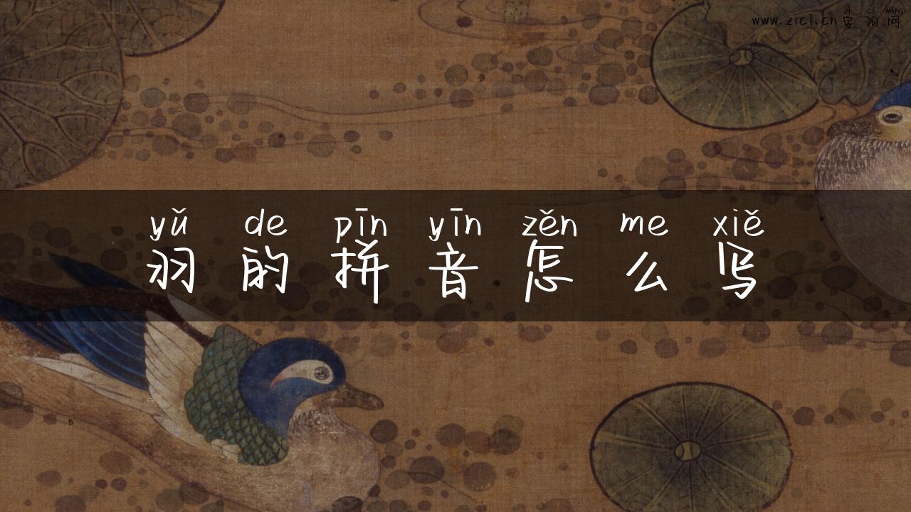 羽的拼音怎么写