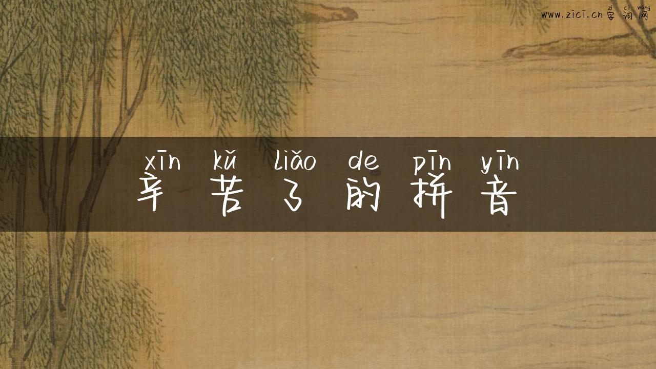 辛苦了的拼音