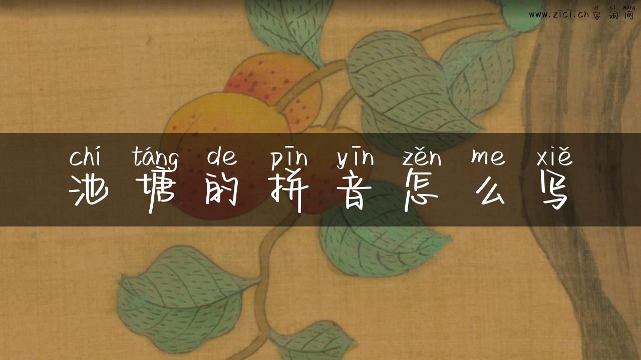 池塘的拼音怎么写