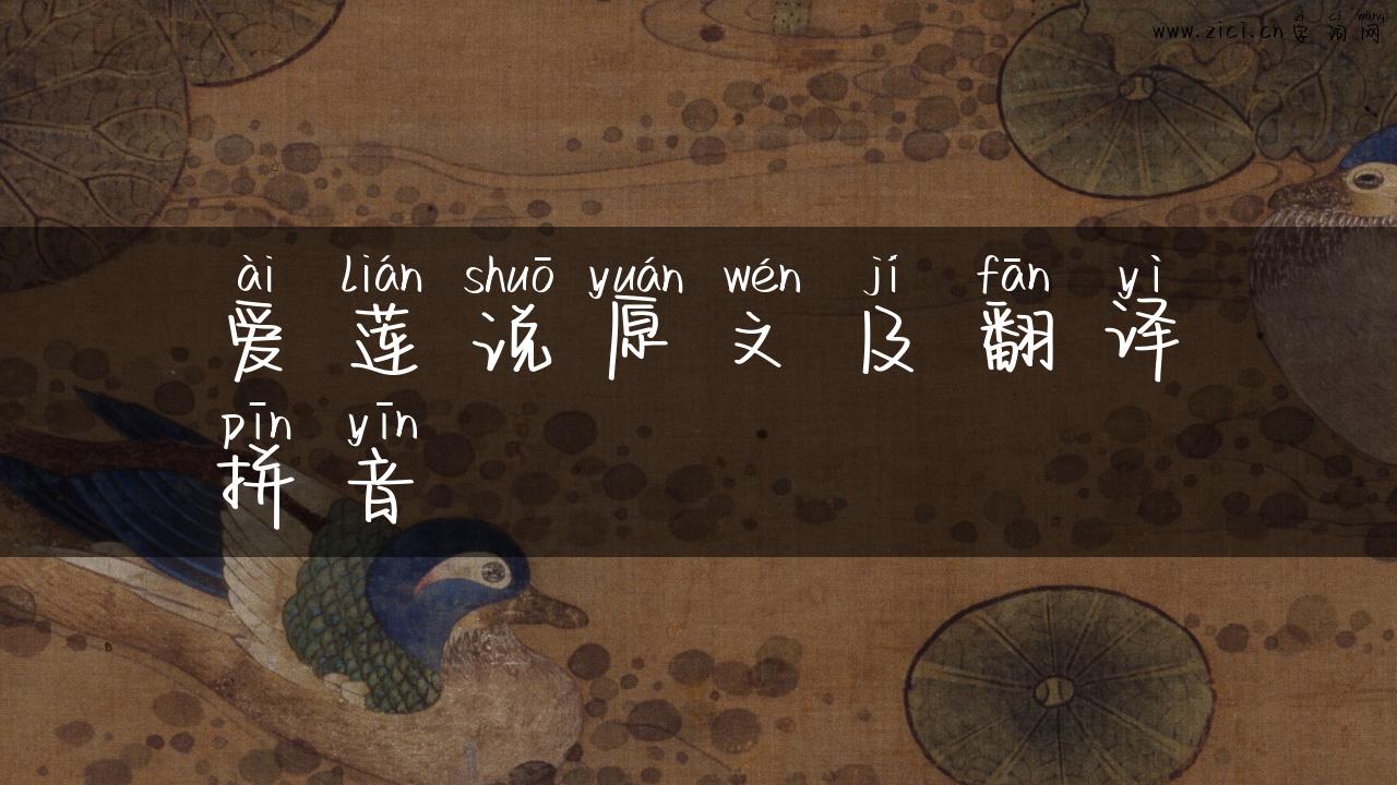 爱莲说原文及翻译拼音