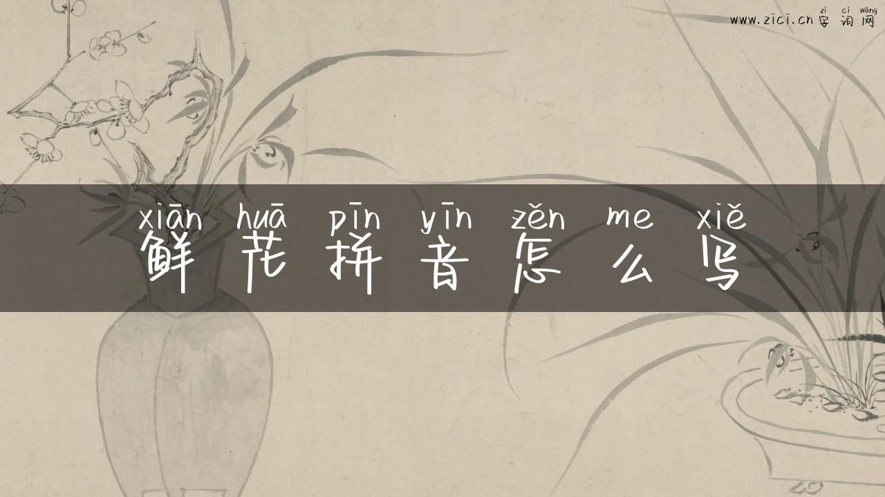 鲜花拼音怎么写