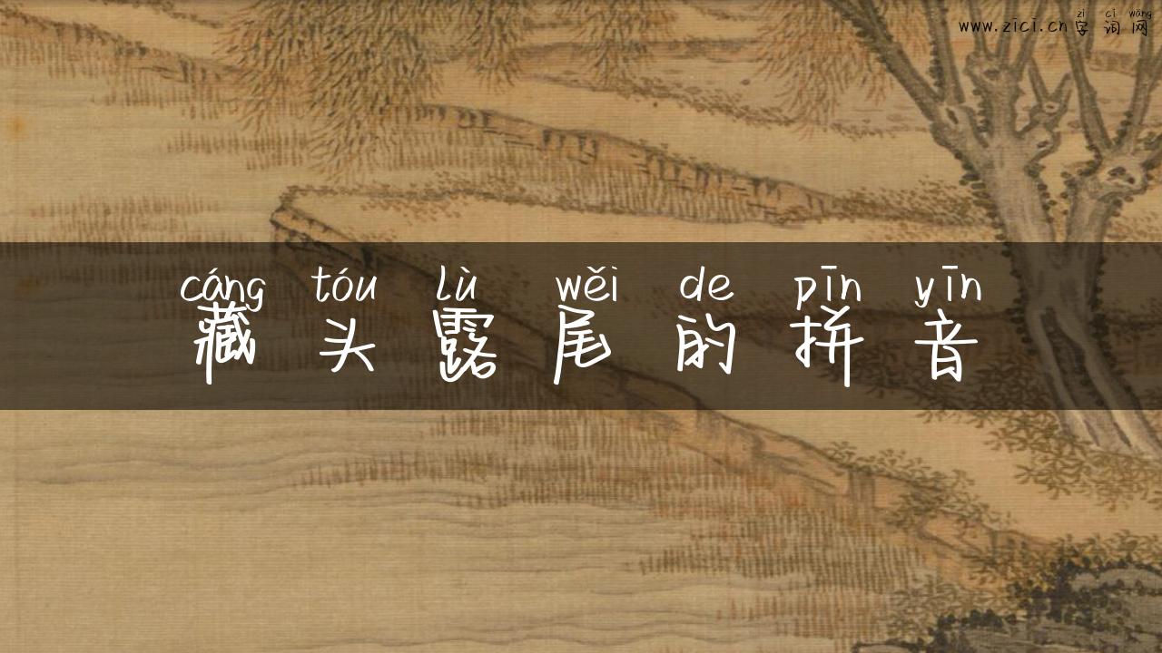 藏头露尾的拼音
