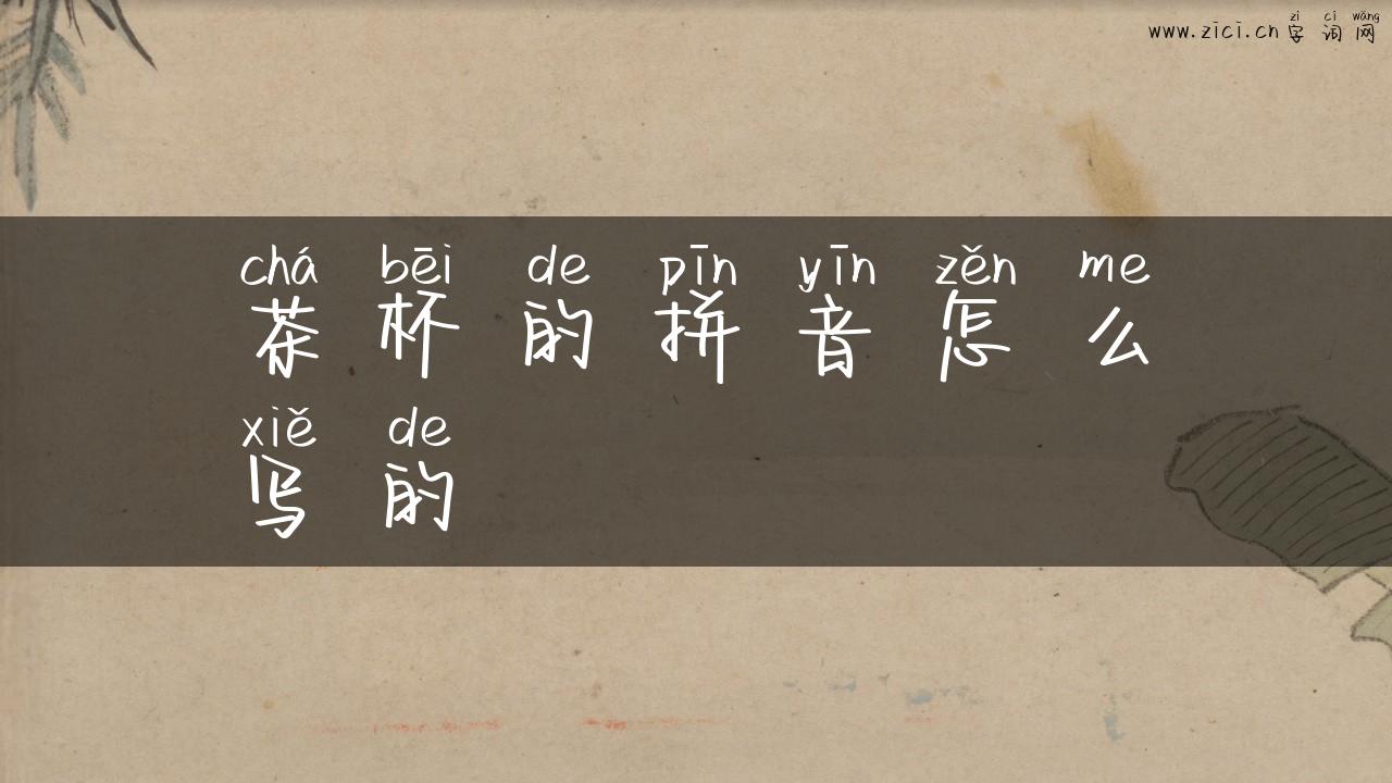 茶杯的拼音怎么写的