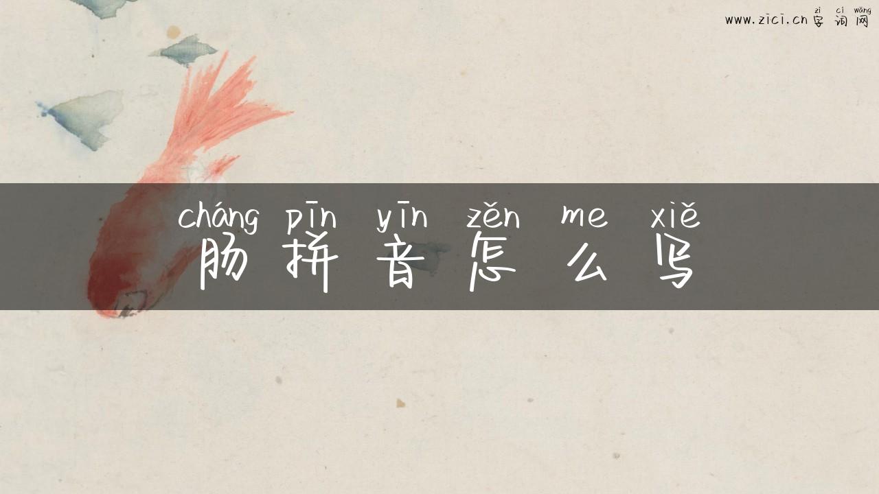 肠拼音怎么写