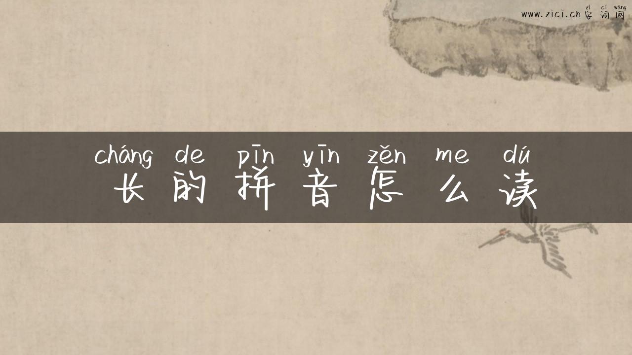 长的拼音怎么读