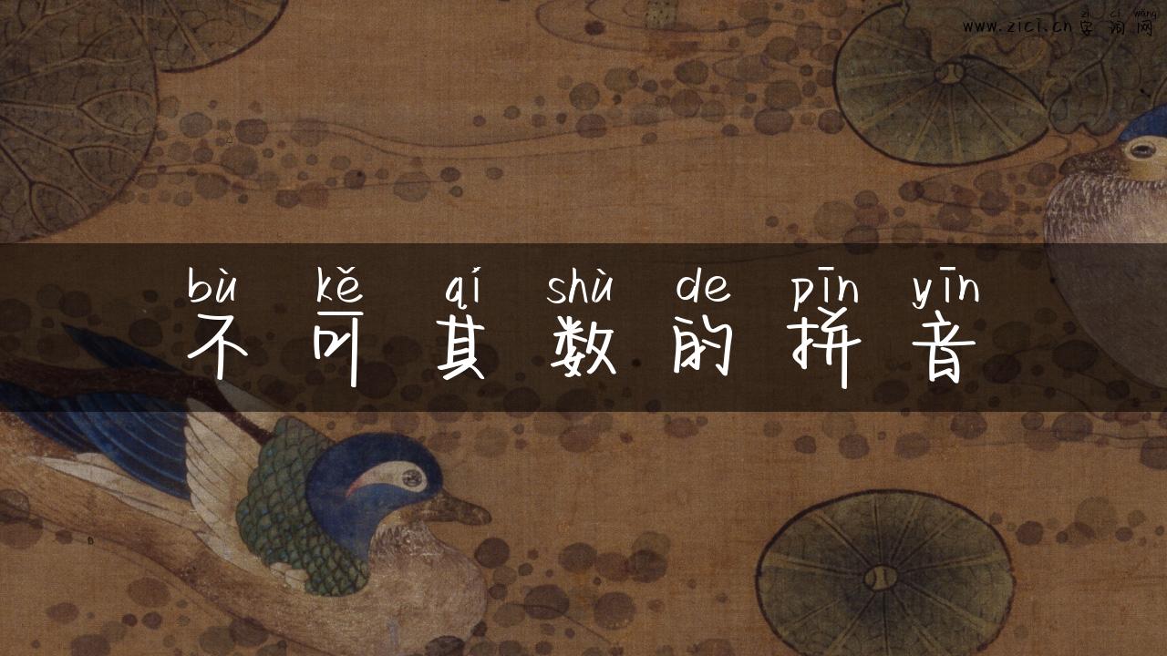 不可其数的拼音