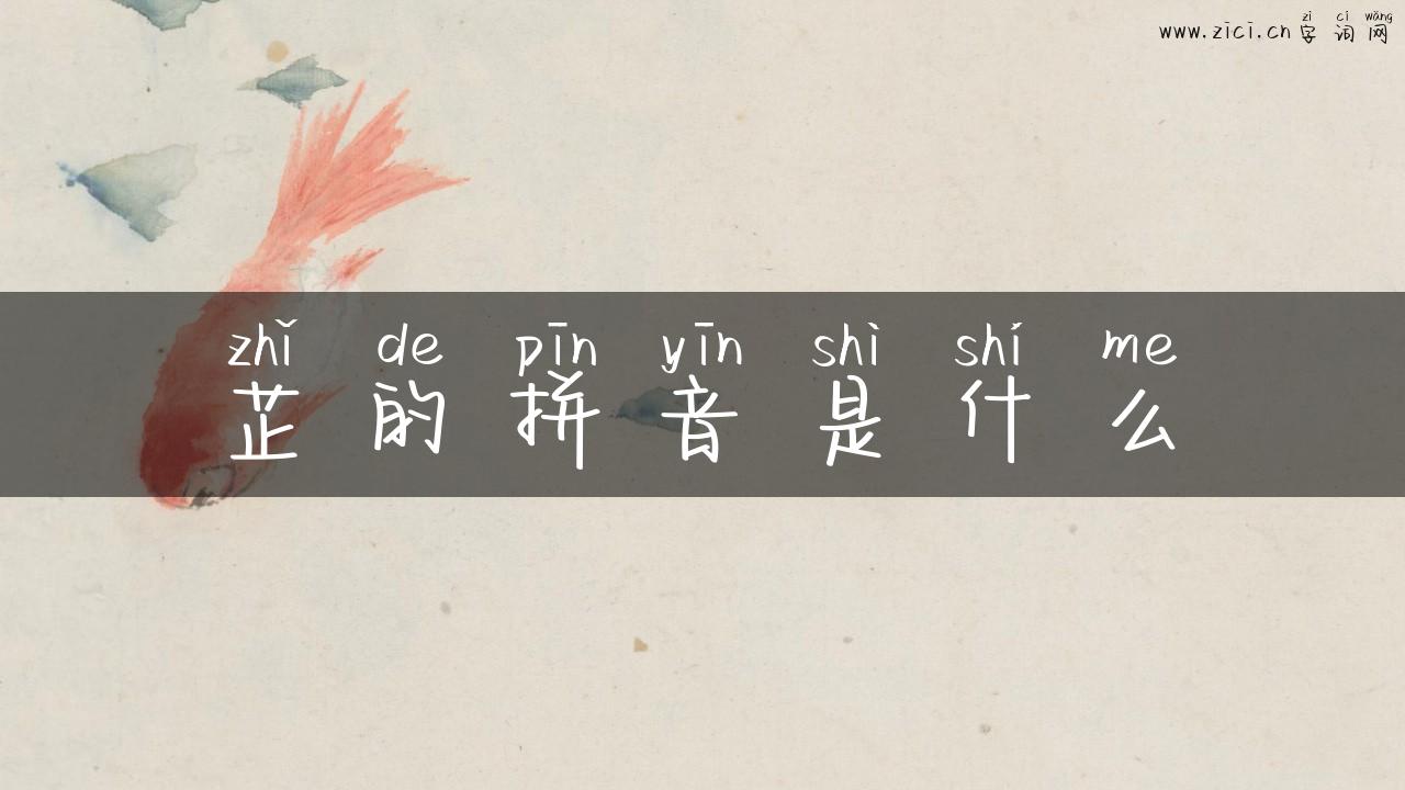 芷的拼音是什么