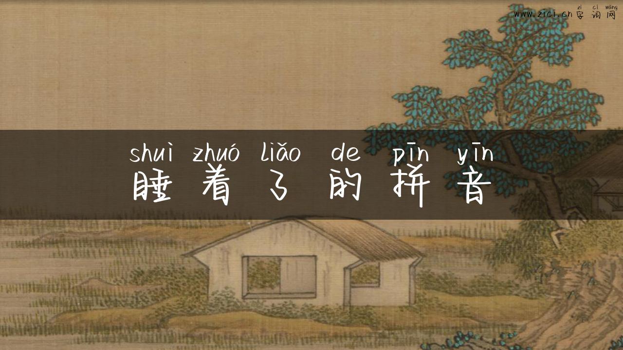睡着了的拼音