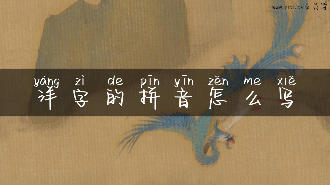 洋字的拼音怎么写