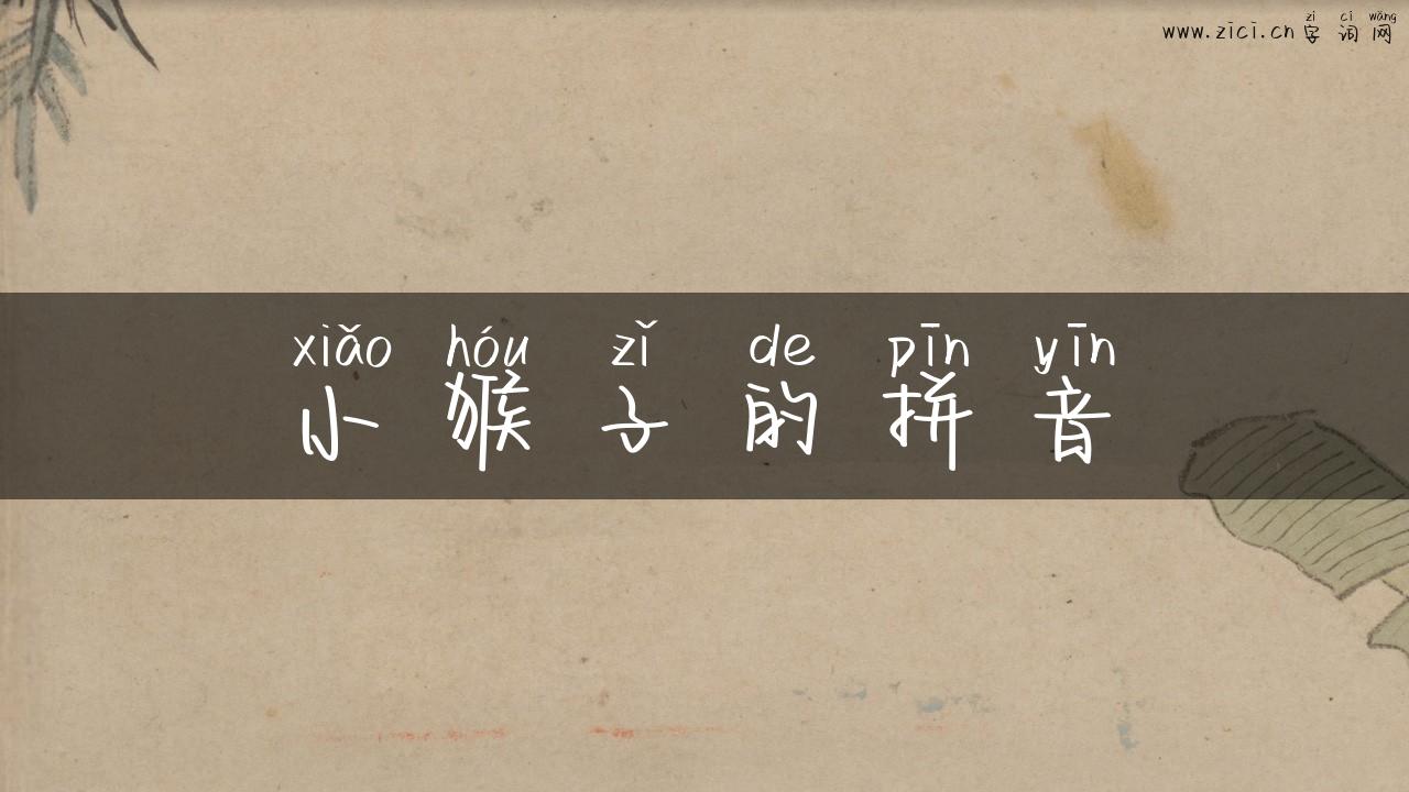 小猴子的拼音