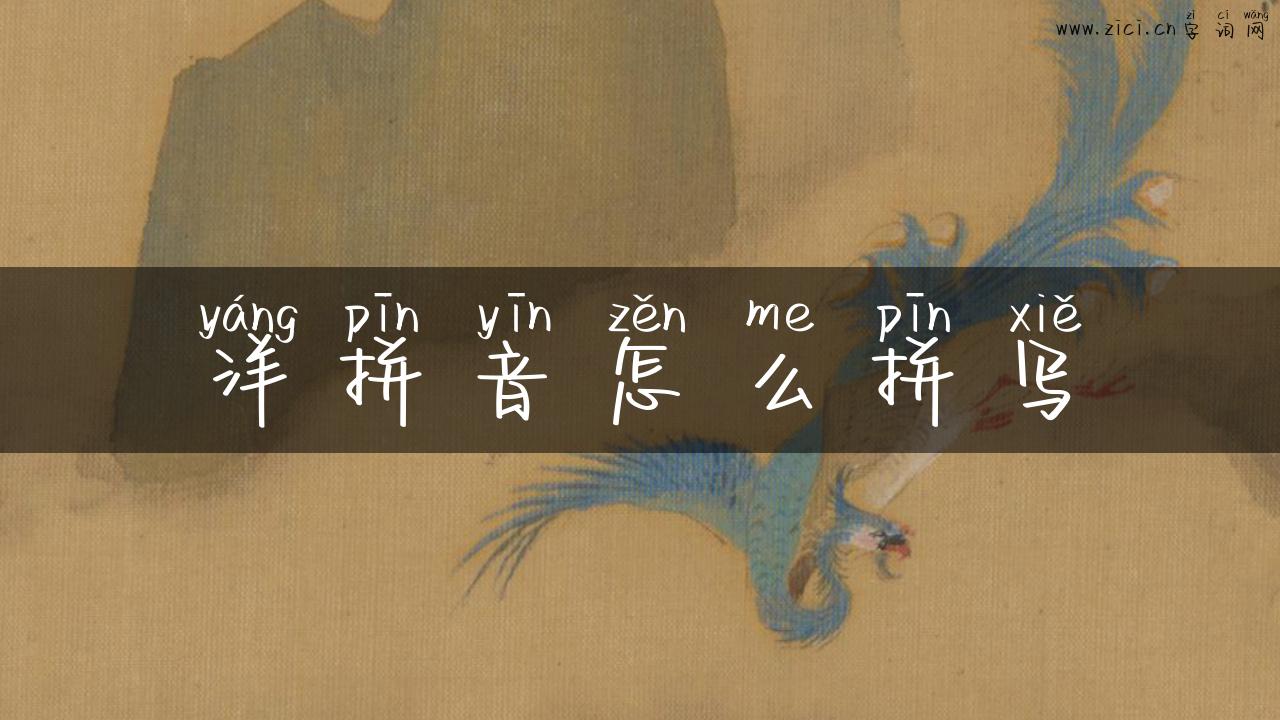 洋拼音怎么拼写