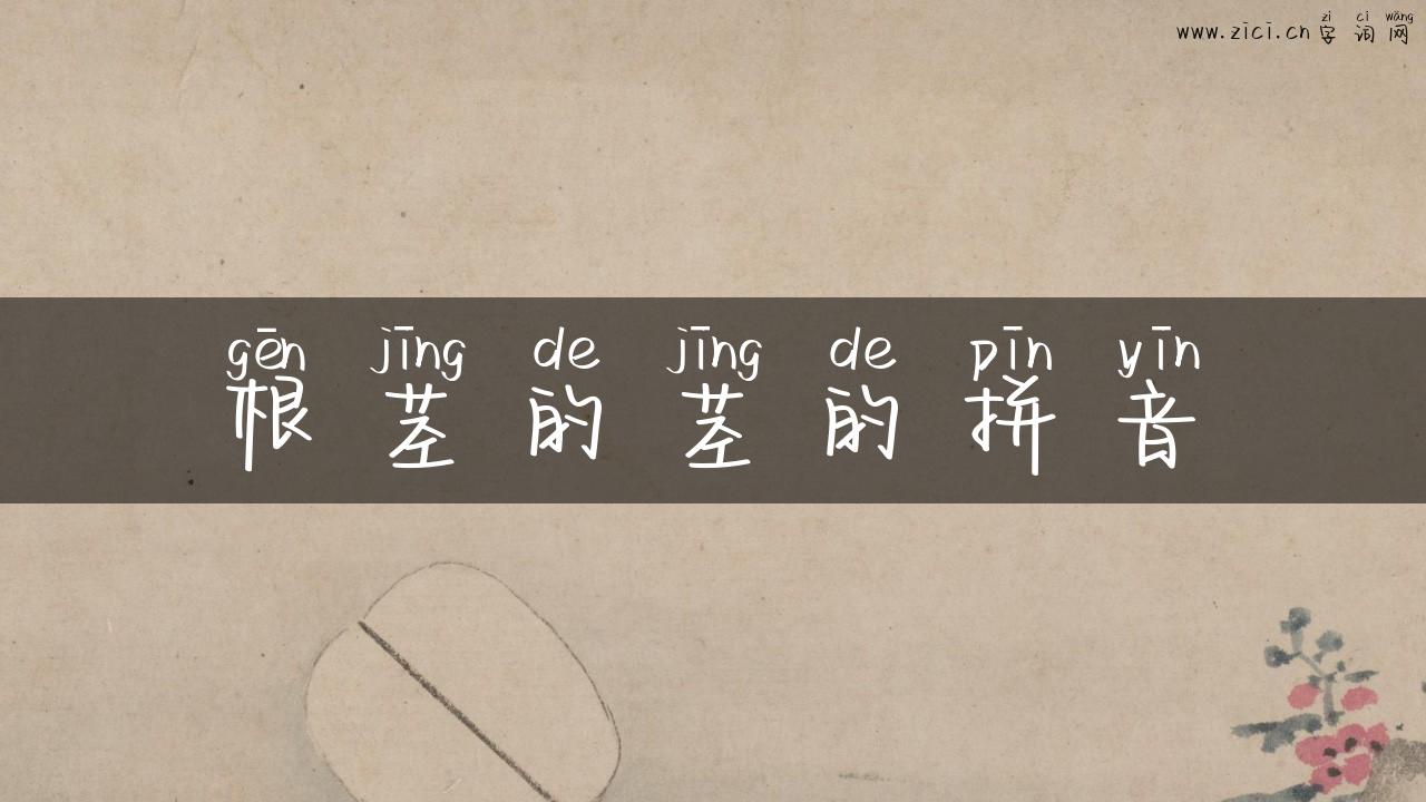 根茎的茎的拼音