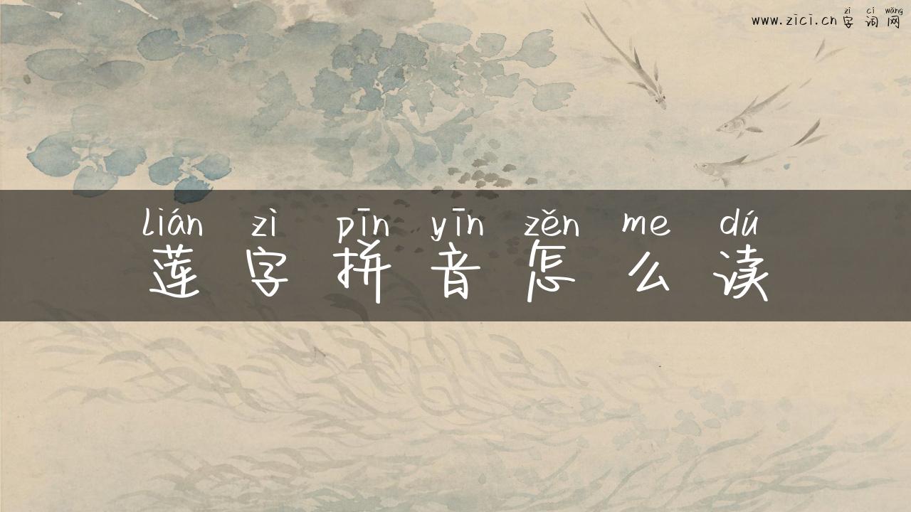 莲字拼音怎么读