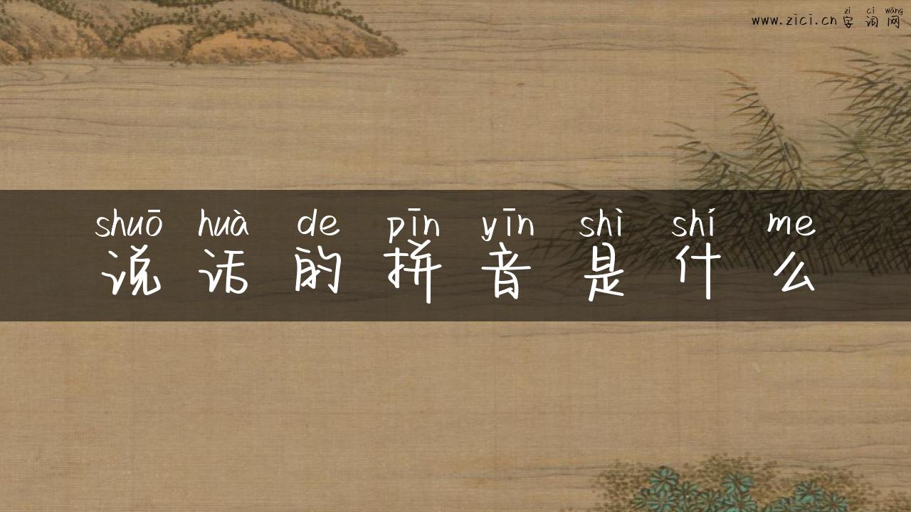 说话的拼音是什么