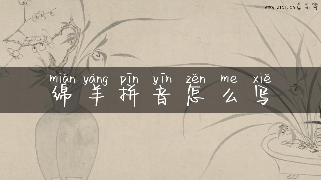 绵羊拼音怎么写