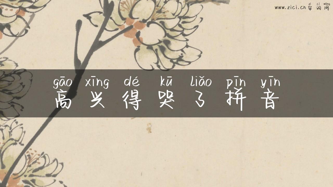 高兴得哭了拼音