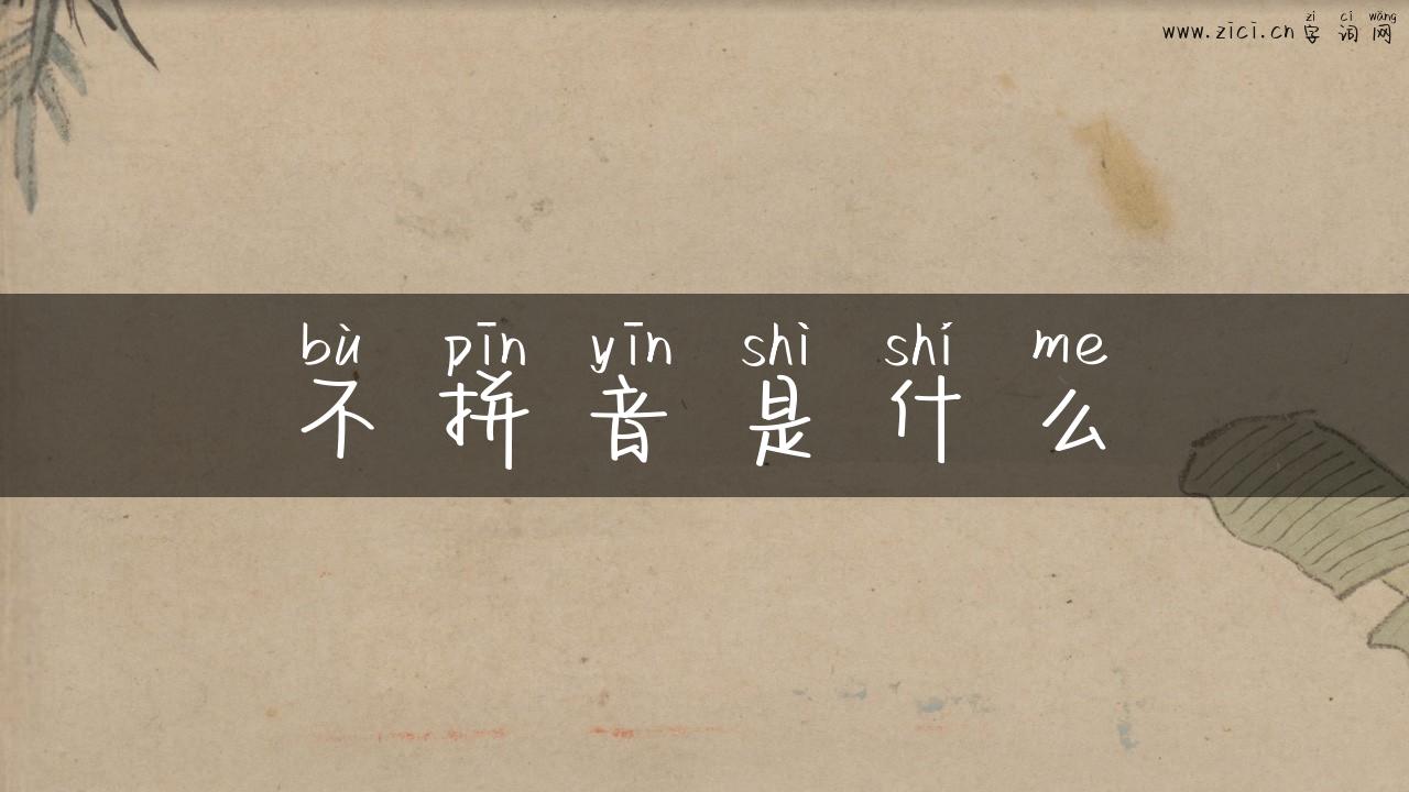 不拼音是什么