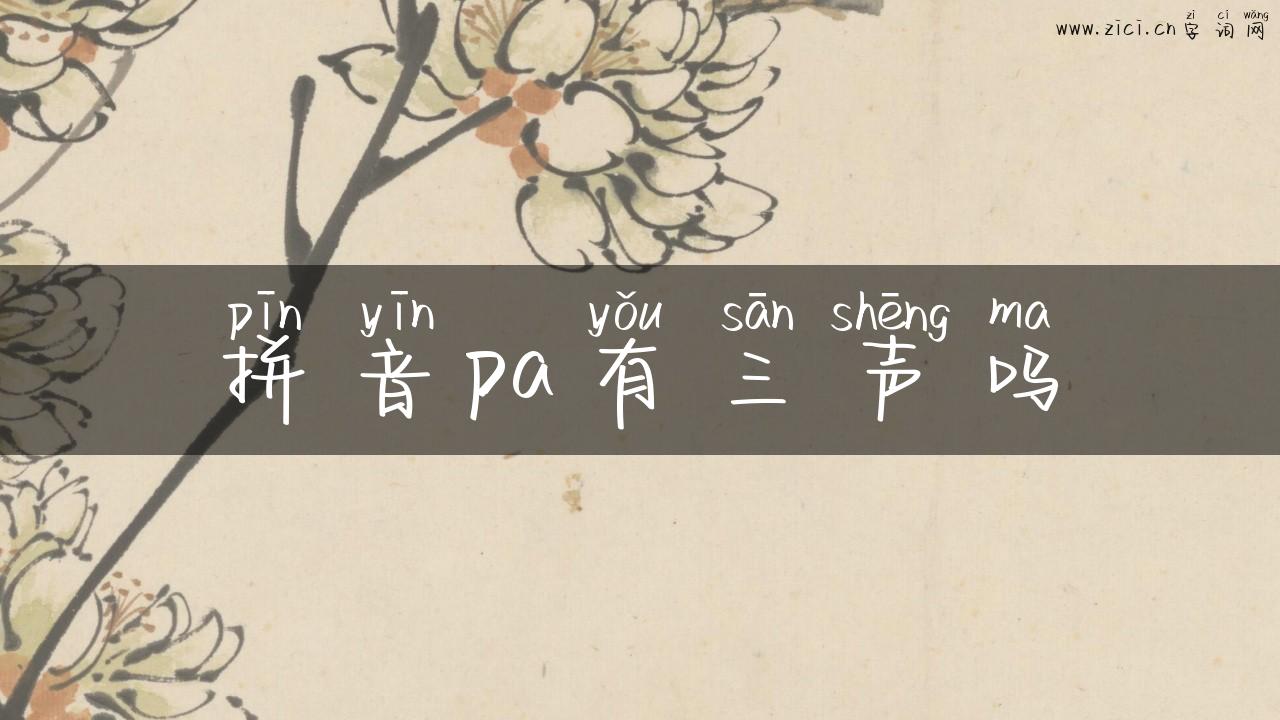拼音pa有三声吗