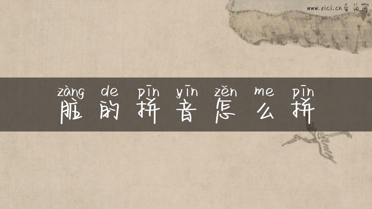 脏的拼音怎么拼