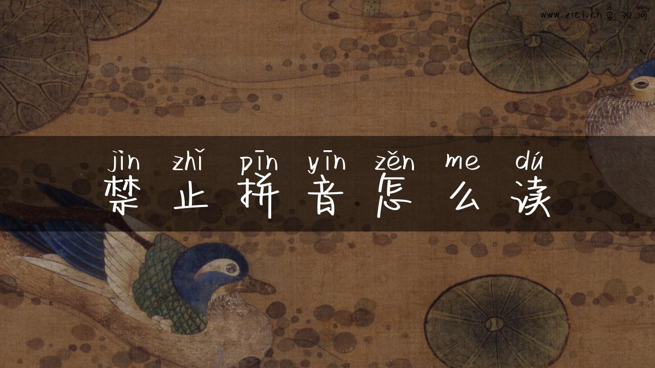 禁止拼音怎么读