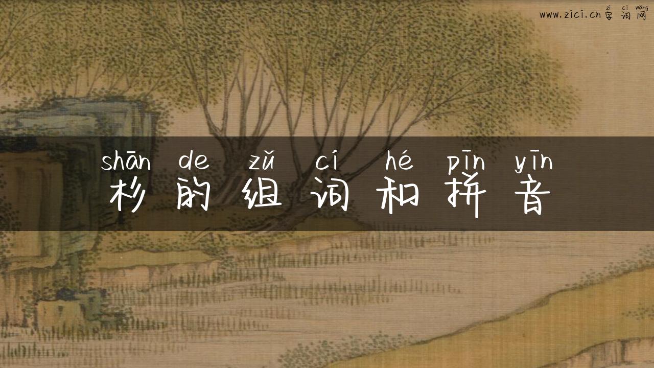 杉的组词和拼音
