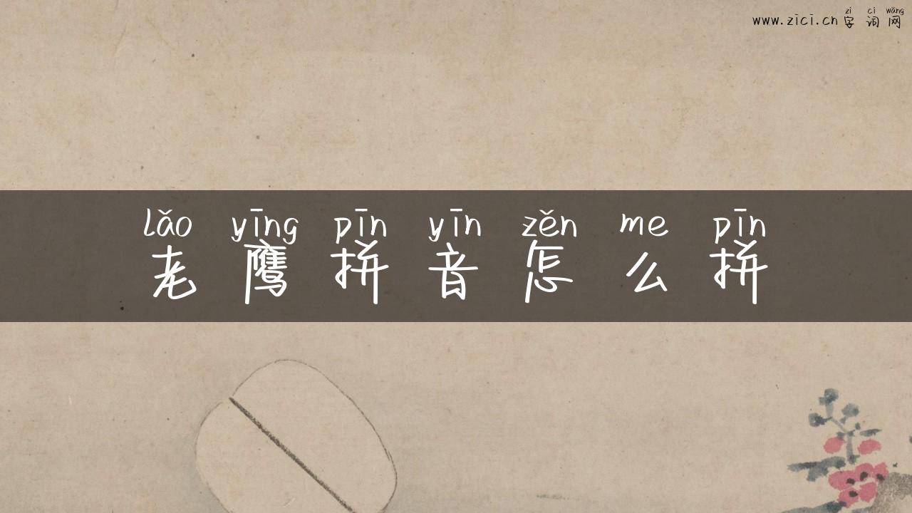 老鹰拼音怎么拼