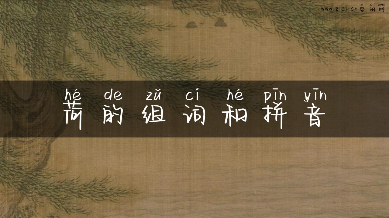 荷的组词和拼音