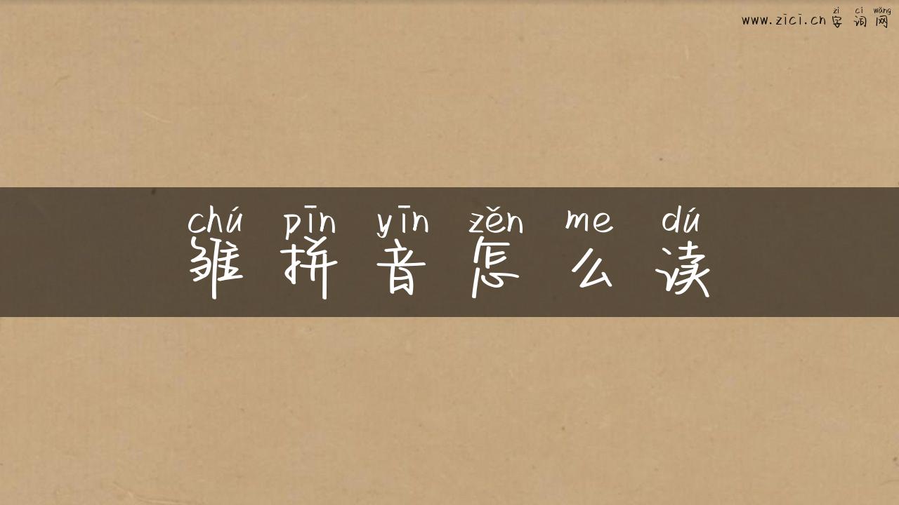 雏拼音怎么读
