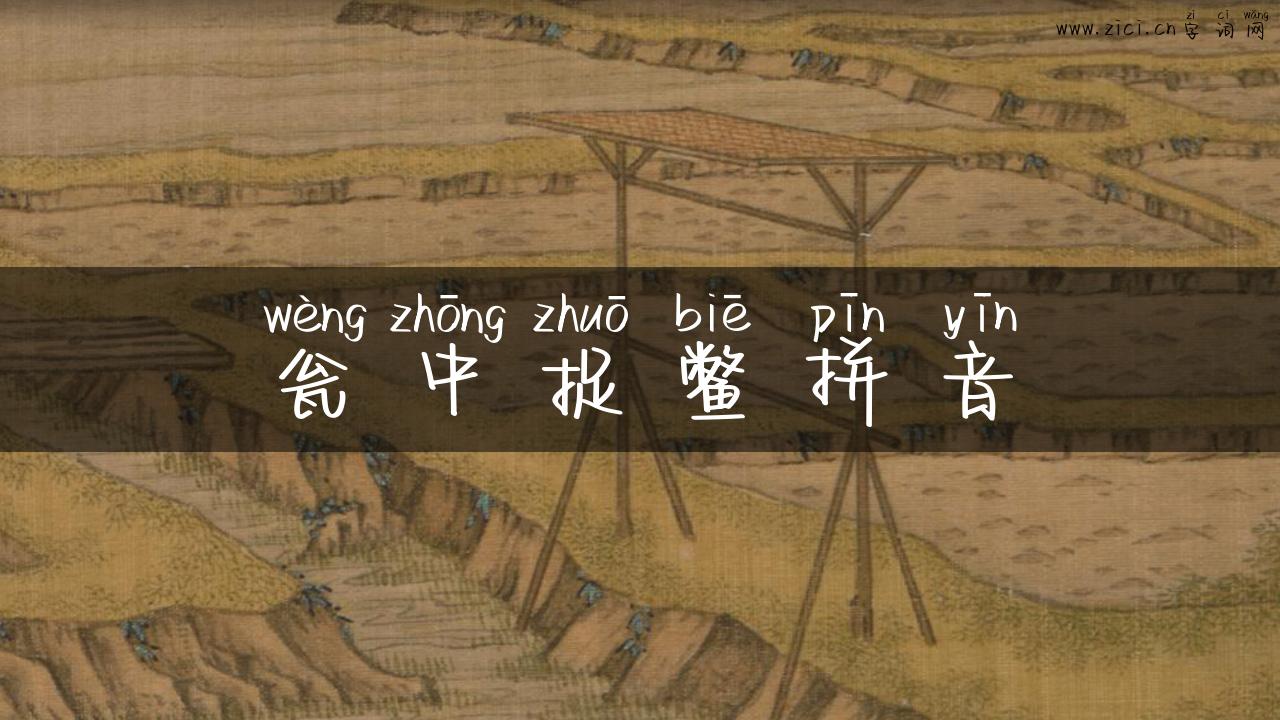 瓮中捉鳖拼音