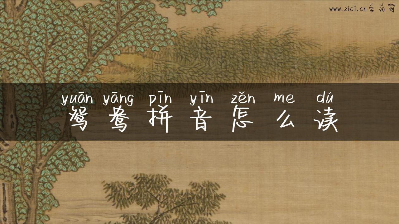 鸳鸯拼音怎么读