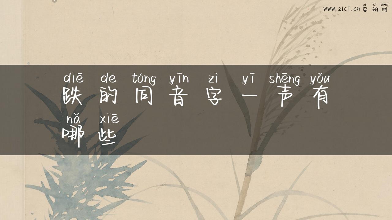 跌的同音字一声有哪些
