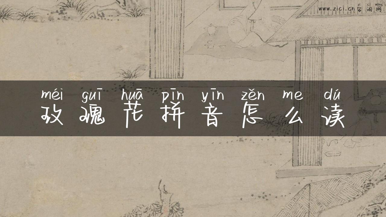 玫瑰花拼音怎么读