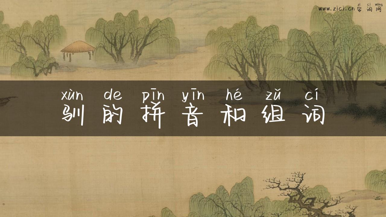 驯的拼音和组词