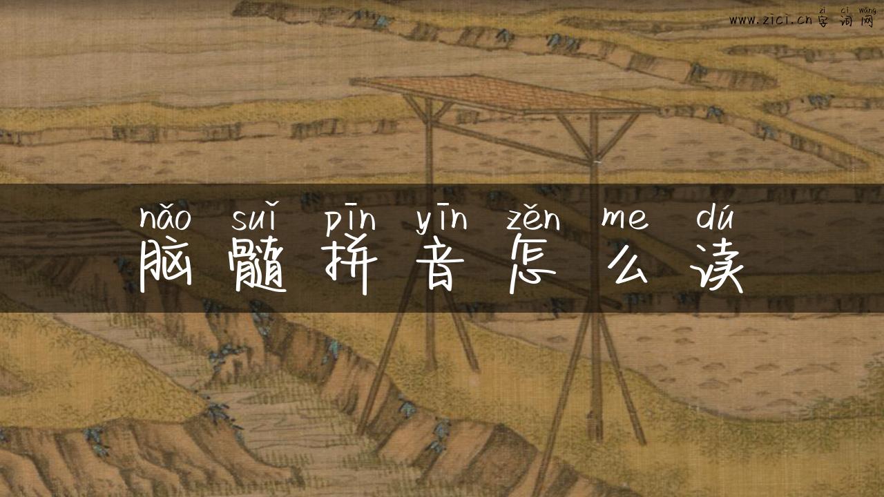 脑髓拼音怎么读