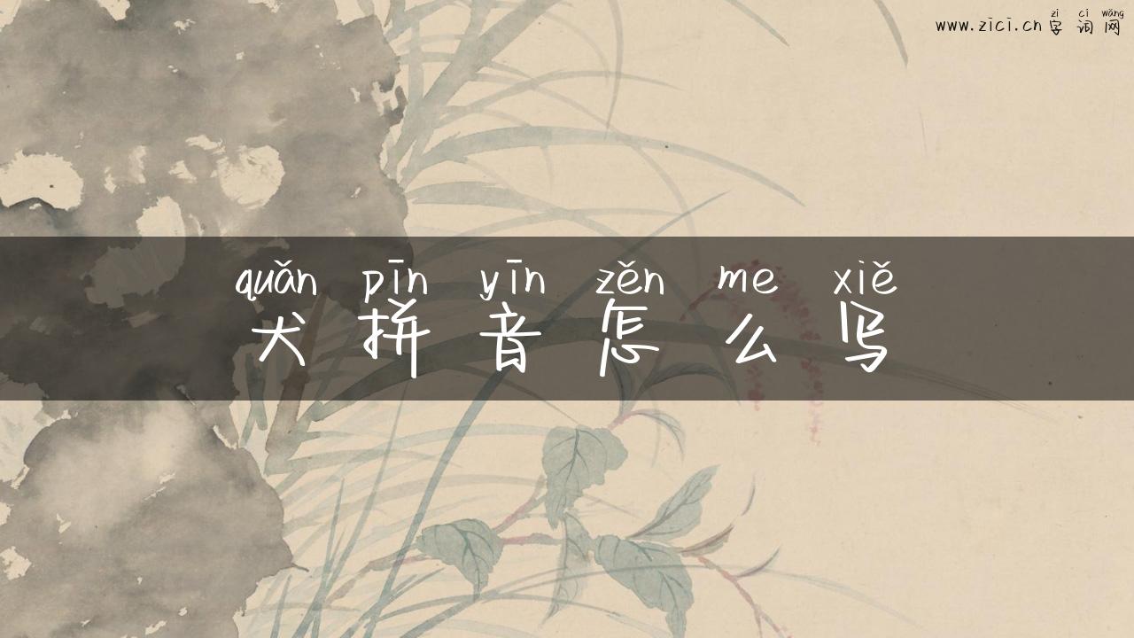 犬拼音怎么写