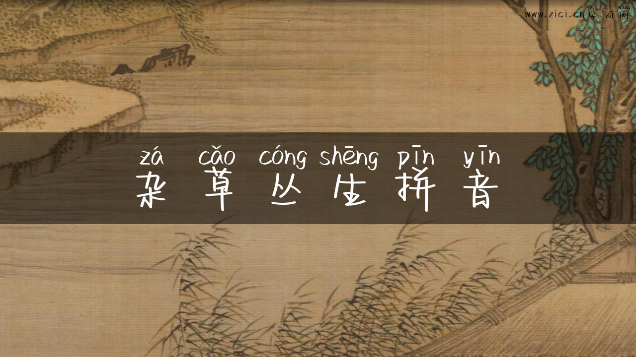 杂草丛生拼音