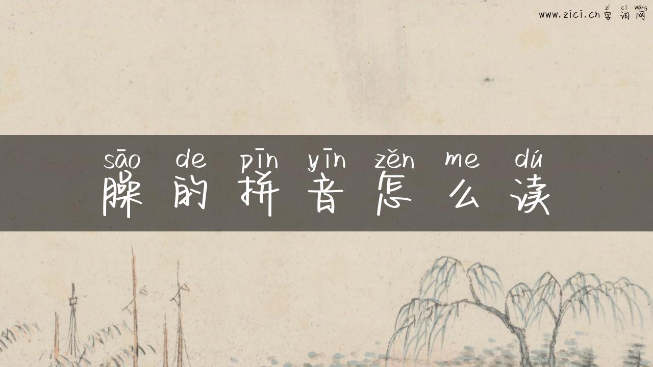 臊的拼音怎么读