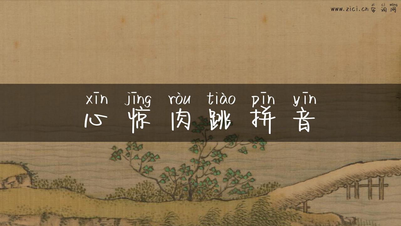 心惊肉跳拼音